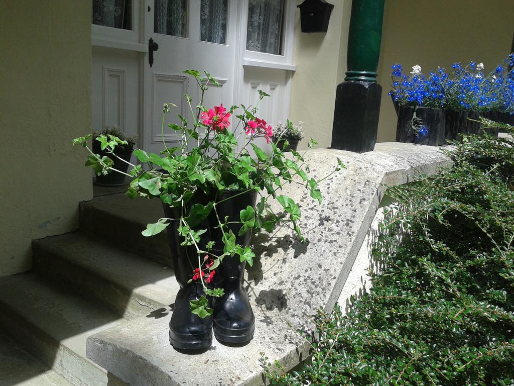ビディフォード Westleigh House Farm Bed & Breakfast 部屋 写真